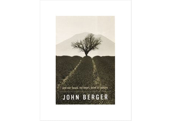 And Our Faces, My Heart, Brief as Photos