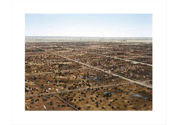 Andreas Gursky : Landscapes