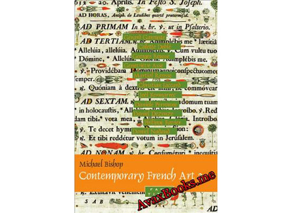 Contemporary French Art 2 : Gerard Garouste, Colette Deble, Georges Rousse, Genevieve Asse, Martial Raysse, Christian Jaccard, Joel Kermarrec, Daniele Perronne, Daniel Dezeuze, Philippe Favier, Daniel Nadaud