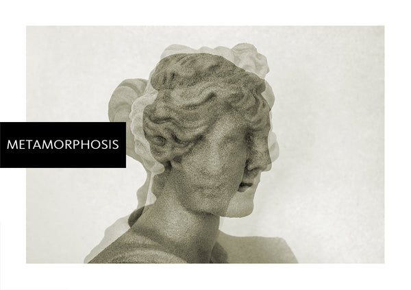 Metamorphosis