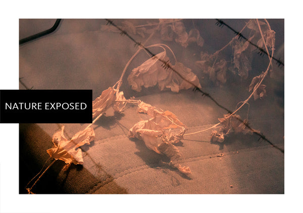 Nature Exposed