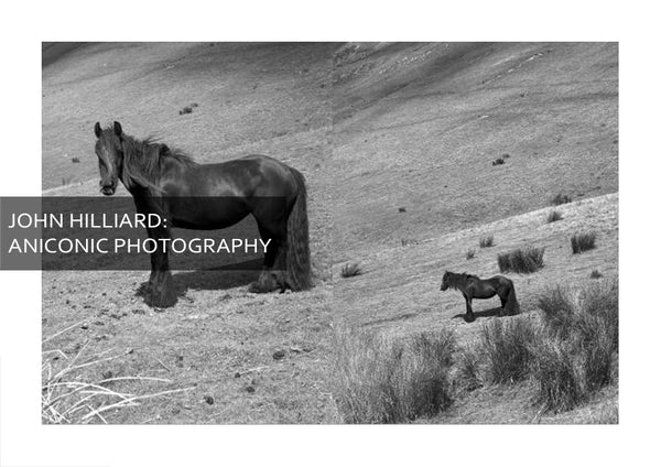 John Hilliard: Aniconic Photography