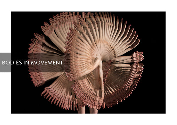Bodies in Movement