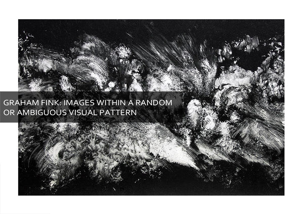 Graham Fink's Images Within a Random or Ambiguous Visual Pattern