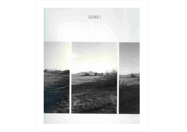 Robert Adams : Gone?