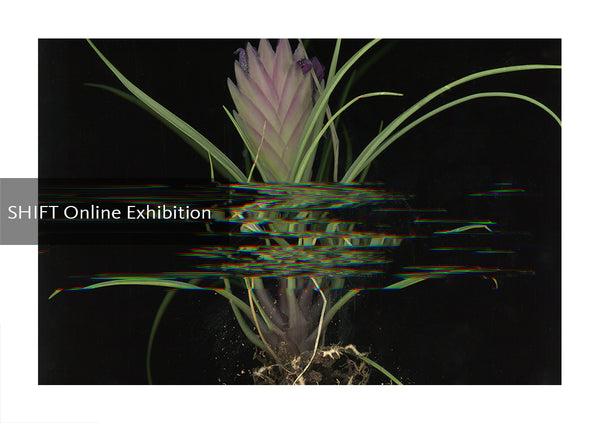 Shift - The Exhibition