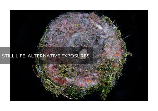 Still Life. Alternative Exposures