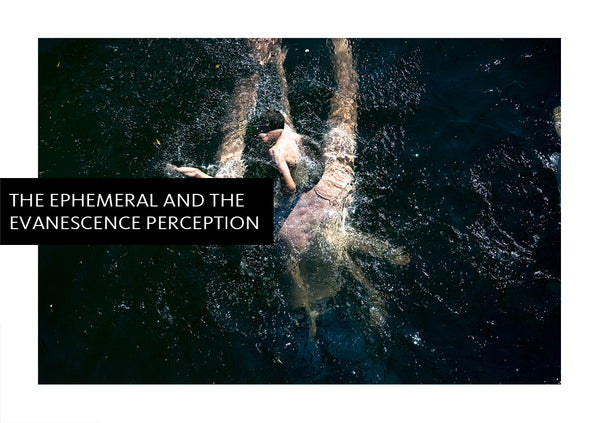 The Ephemeral and the Evanescence Perception