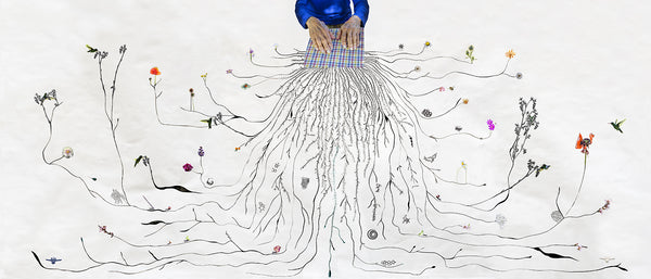 Constanza Oxenford - Misterio