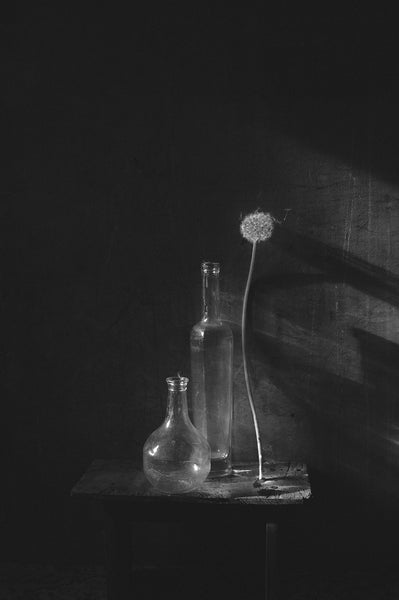 Elena Khazina - Different from All