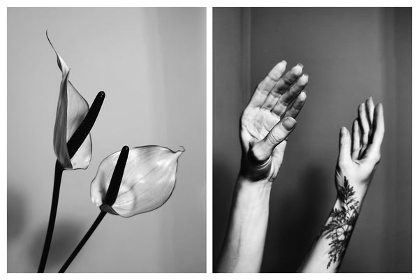 Lera Zilbershtein - Subtlety