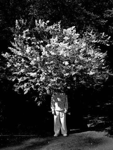 Elena Khazina - White Flower, Black Shadow