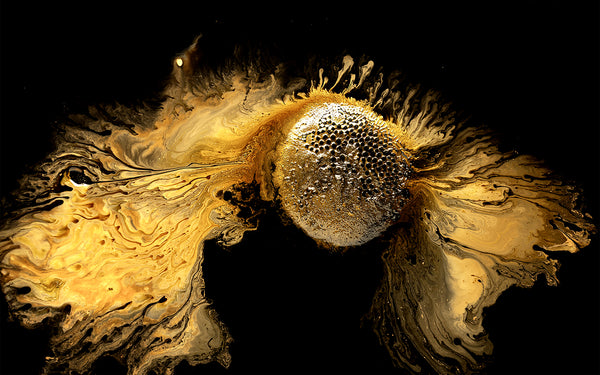 Ruiqi Xiao - Golden Snitch