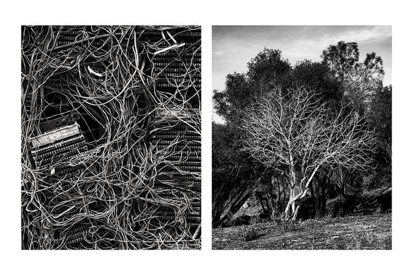 Santosh Korthiwada "diptych1"