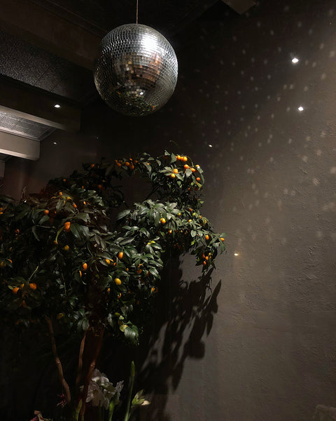 Sara Wallach - Imaginary