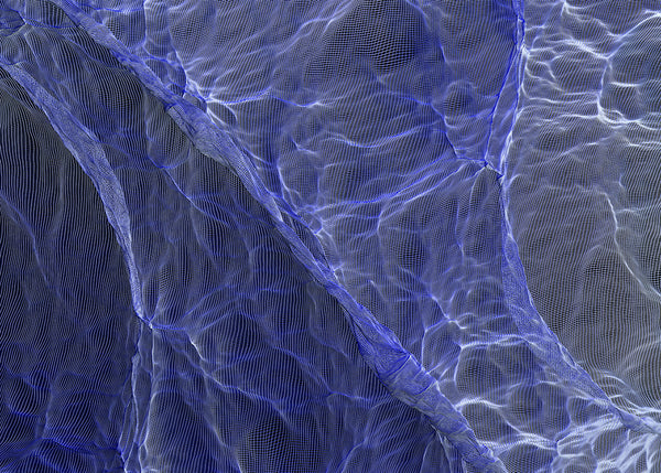 Susan Narduli "Shapeshifter"