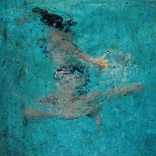 Sandrine Hermand Grisel "Waterlilies #3949"