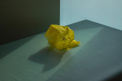 Marina Tsaregorodtseva - Yellow and Blue