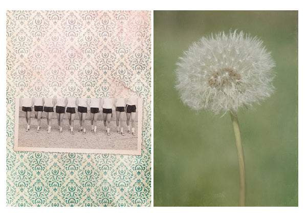 Nicoletta Cerasomma - Memories and Dreams