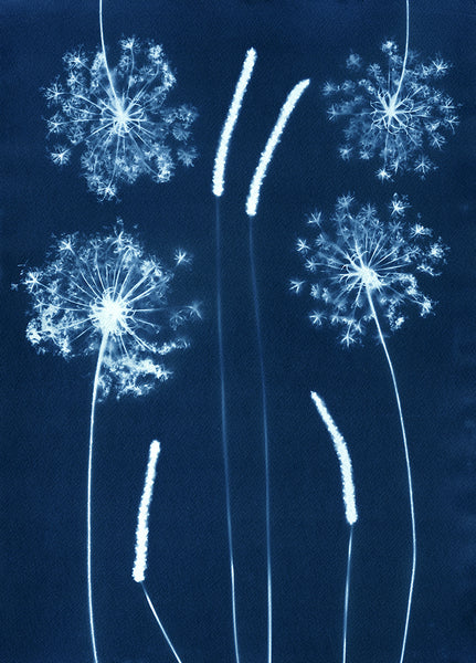 Paulo Monteiro - Untitled, The Colour Blue