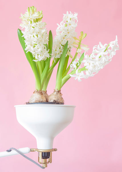 Piotr Marciński - New Concept of Known Object #1