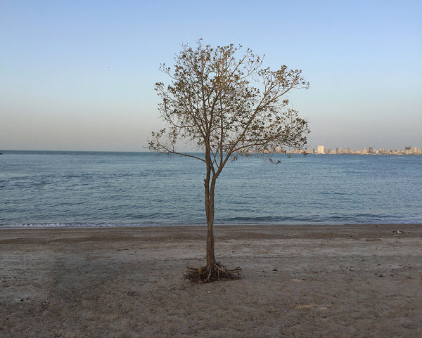 Rafael Portillo - Invisible Kuwait: City of Follies