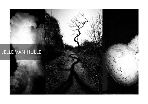 Jelle Van Hulle