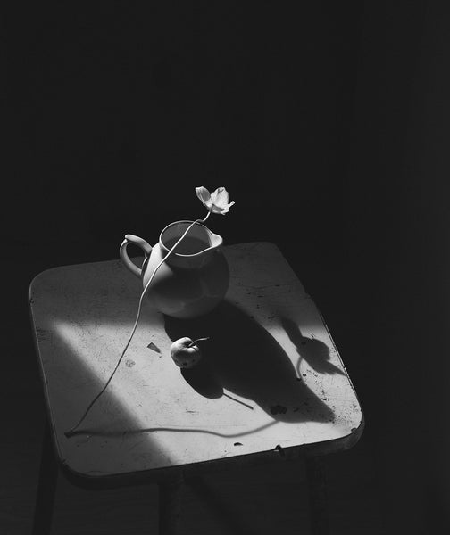 Elena Khazina - White Flower, Black Shadow