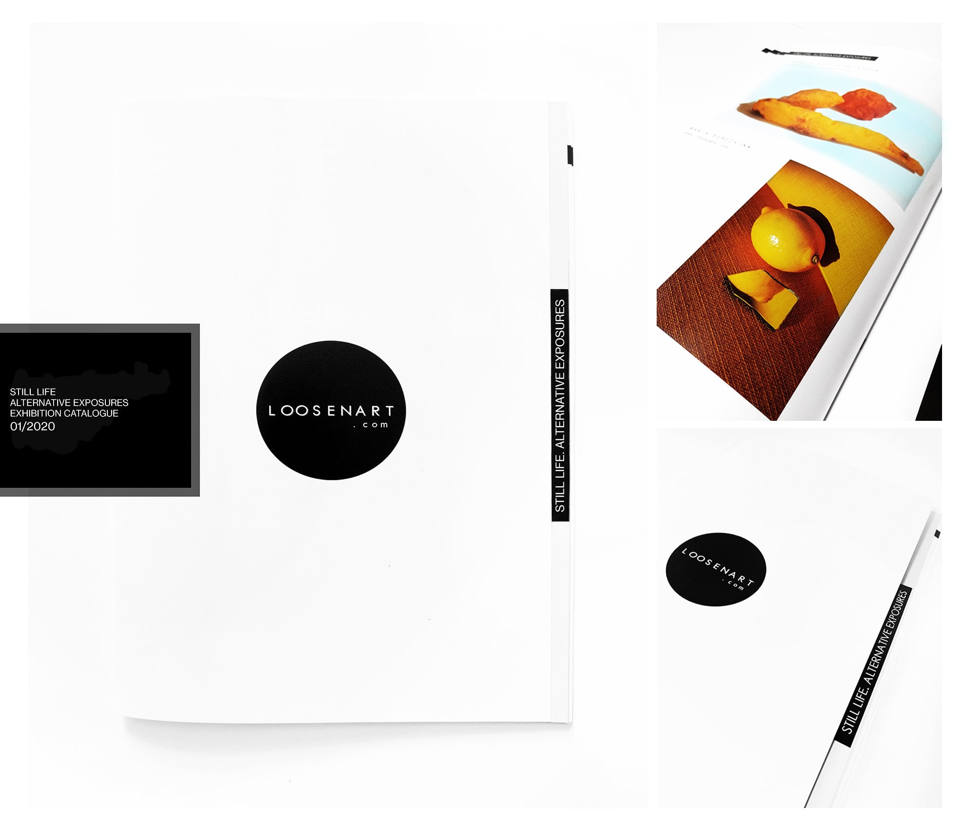 Still Life. Alternative Exposures Exhibition Catalogue LoosenArt